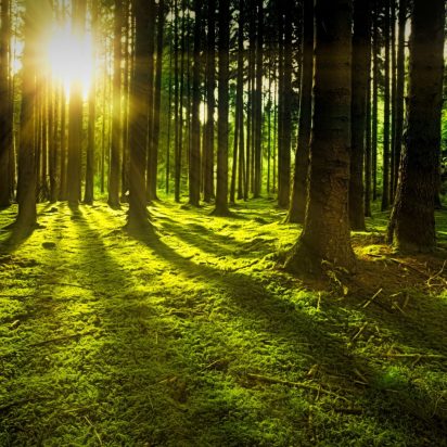  Initiative pour la transparence de l’action climatique